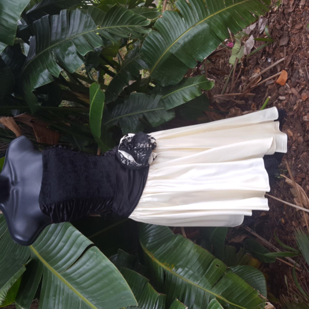 drop waist strapless corset, assymetric dress - Picture 2 of 13